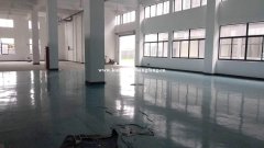 周市新镇470平全新装修厂房丙类消防大车好出入