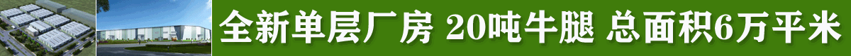 昆山千灯全新单层厂房出租